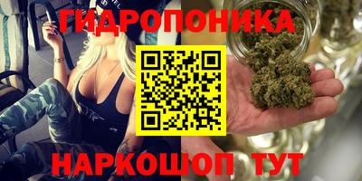 СК Нальчик