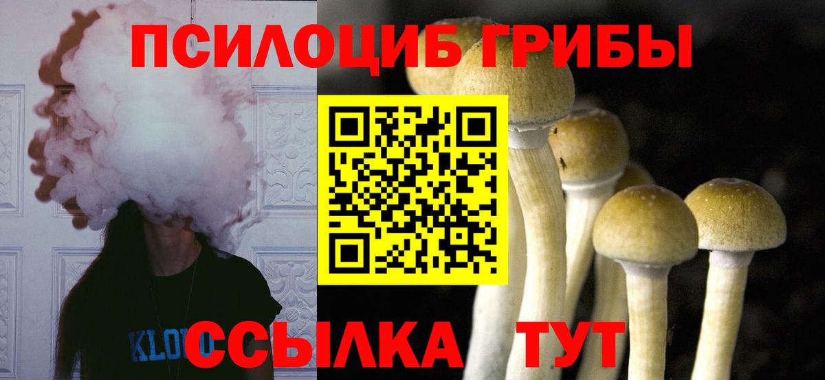 Псилоцибиновые грибы ЛСД  Вход с VPN  Чапаевск 